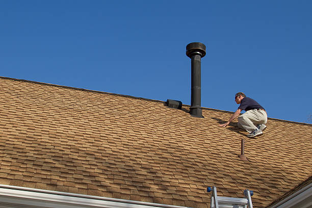 Best Roof Maintenance and Cleaning  in Winnebago, IL